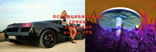 стаф Балахна