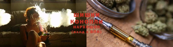 стаф Балахна