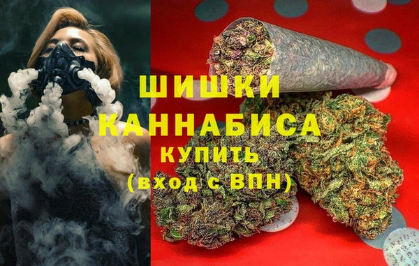 стаф Балахна