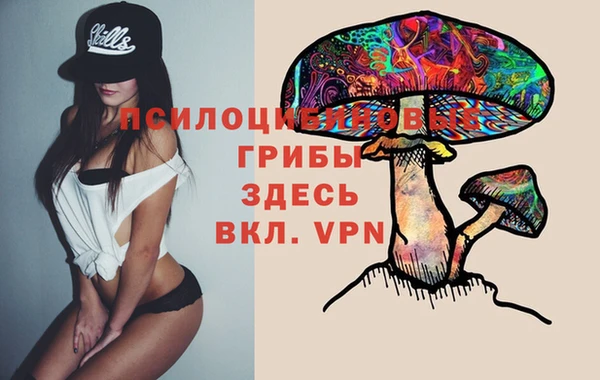 мет Баксан